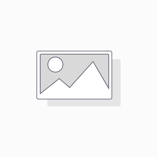 ID карт 55*85мм 2729