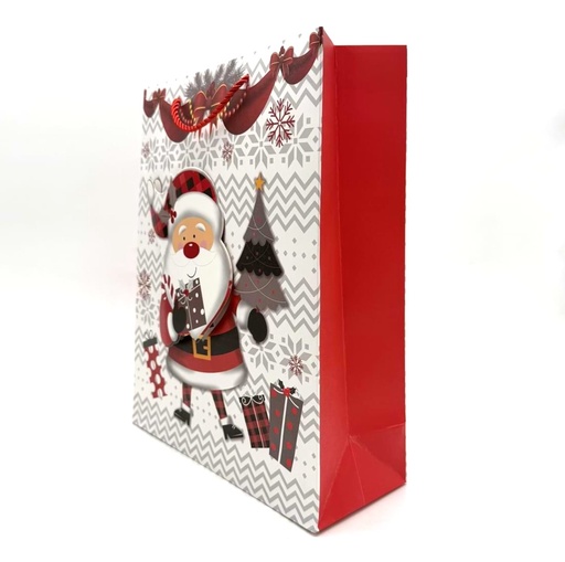 [010013] Шинэ жилийн бэлгийн уут